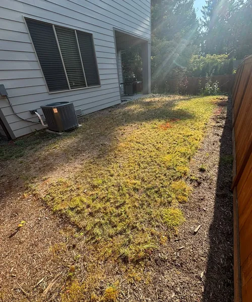 Patios & Pavers in Bothell 